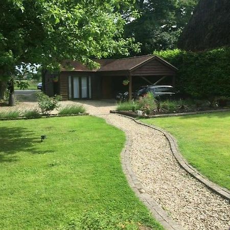 בלנדפורד פורום Winterborne Lodge מראה חיצוני תמונה